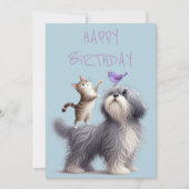 犬予測できなと猫と鳥の友情 シーズンカード (正面)