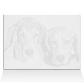 犬保護に (内部横(上))