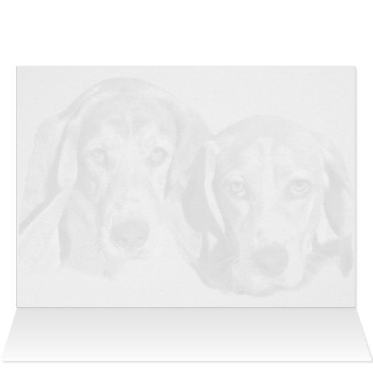 犬保護に (内部横(上))