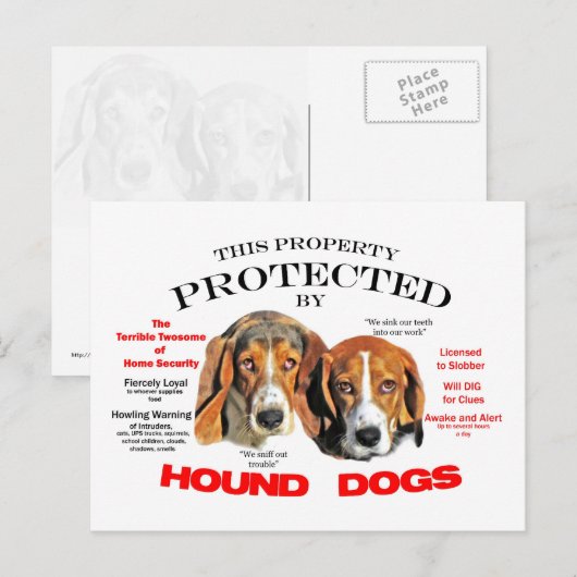 犬保護に ポストカード (正面/裏面)