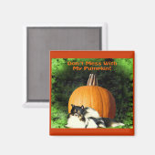 犬保護の大きなカボチャ磁石 マグネット (正面/裏面)