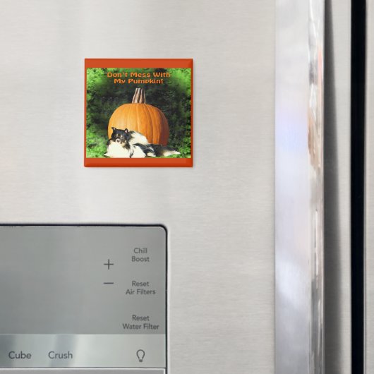 犬保護の大きなカボチャ磁石 マグネット (インサイチュ (冷蔵庫))