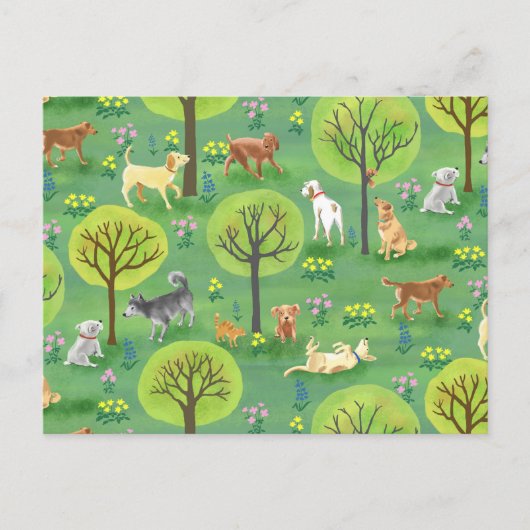 犬公園の可愛い犬たち ポストカード (正面)