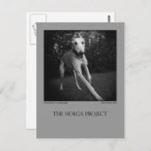 犬公園の郵便はがき11 ポストカード (正面/裏面)