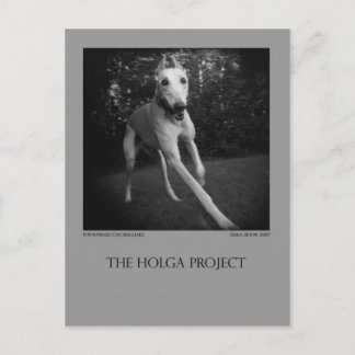 犬公園の郵便はがき11 ポストカード