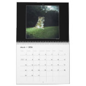 犬公園色のカレンダー2 カレンダー (3月 2026)