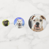 犬写真カスタム コンフェッティ (正面)