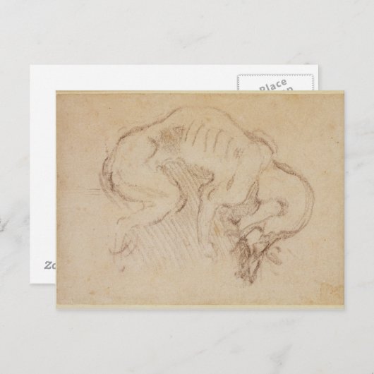 犬勉強 ポストカード (正面/裏面)