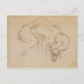 犬勉強 ポストカード (正面)