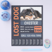 犬失ったの恋しく思報酬ポスター チラシ (シングル)