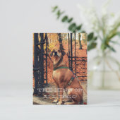 犬好きのための全ての犬のはがきの王 ポストカード (スタンド正面)