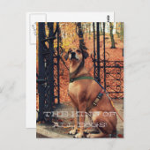 犬好きのための全ての犬のはがきの王 ポストカード (正面/裏面)