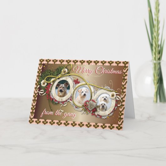 犬好きのための折りたたみクリスマスカード カード (正面)