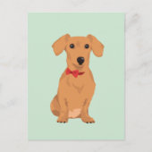 犬好きのための首飾りリボンが付いたかわいいタン色のダックスフンド ポストカード (正面)