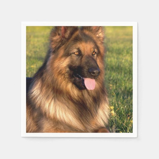 犬好きカスタムのパーソナライズされたペット写真 スタンダードカクテルナプキン (正面)