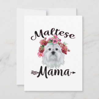 犬好き |かわいいマルチーズママ犬フラワーズ花模様 サンキューカード