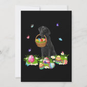 犬好き | ウサギ 黒ラブラドール犬 & イースターエッグ カード (正面)