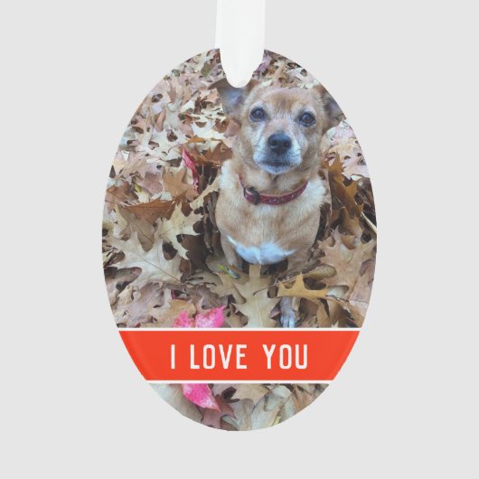 犬好き オーナメント (裏面)