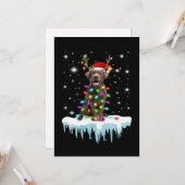 犬好き | チョコレートラブラドール クリスマス ライト カード (正面/裏面インサイチュ)