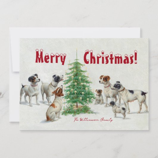 犬家族のクリスマスカード シーズンカード (正面)