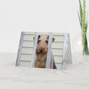 「犬小屋で」 カード