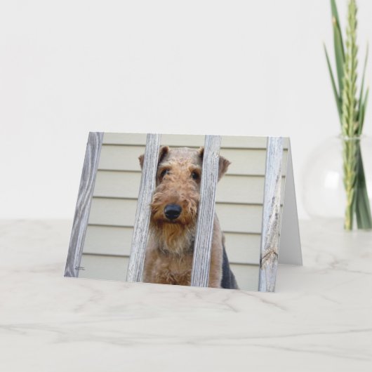 「犬小屋で」 カード (正面)