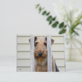 「犬小屋で」 ポストカード (スタンド正面)
