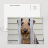 「犬小屋で」 ポストカード (正面/裏面)