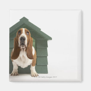 犬小屋による犬 マグネット