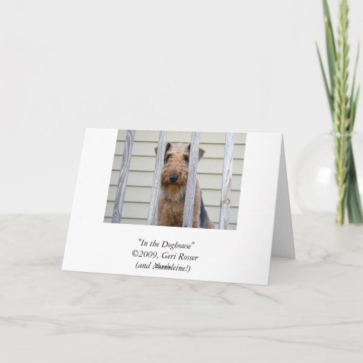 犬小屋カード カード (裏面)