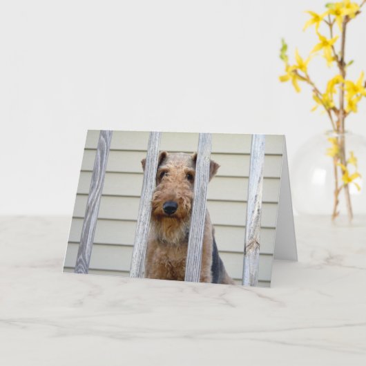 犬小屋カード カード (黄色い花)