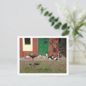 犬小屋 ポストカード (スタンド正面)