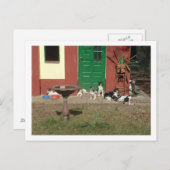 犬小屋 ポストカード (正面/裏面)