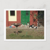 犬小屋 ポストカード (正面)
