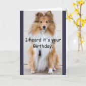 犬年のハッピーバースデー カード (黄色い花)