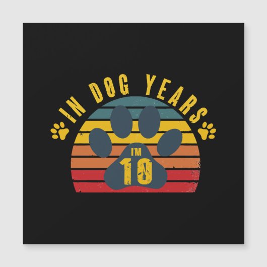 犬年齢で10歳 (正面)