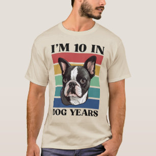 犬年齢で10歳、70歳の誕生日ボストンテリア Tシャツ
