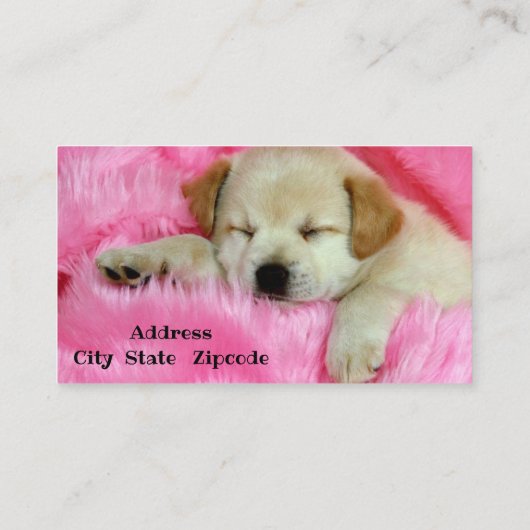 犬座り 名刺 (裏面)