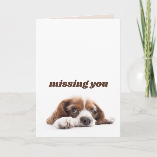 犬恋しく思のグリーティングカード サンキューカード (正面)