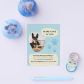 犬恋しく思青モダン写真ポスター チラシ (シングル)