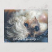 犬悔やみや弔慰葉書 ポストカード (正面)