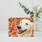 犬愛好家のための文字と写真はがき ポストカード (スタンド正面)