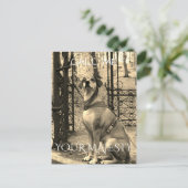 犬愛好家のための文字と写真はがき ポストカード (スタンド正面)