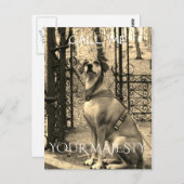 犬愛好家のための文字と写真はがき ポストカード (正面/裏面)