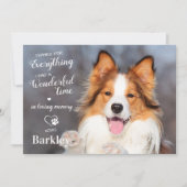 犬感謝していの記念撮影のペットの損失 サンキューカード (正面)