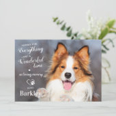 犬感謝していの記念撮影のペットの損失 サンキューカード (スタンド正面)