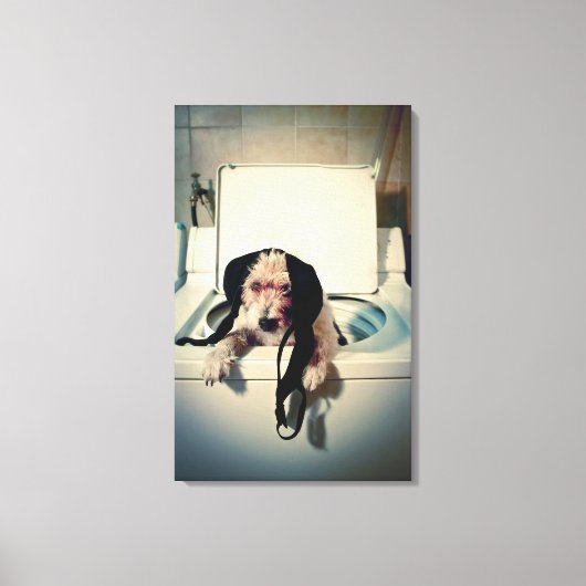 犬救済は洗い流しに行く キャンバスプリント (正面)