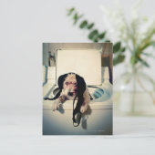 犬救済は洗い流しに行く ポストカード (スタンド正面)