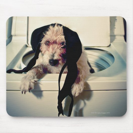 犬救済は洗い流しに行く マウスパッド (正面)