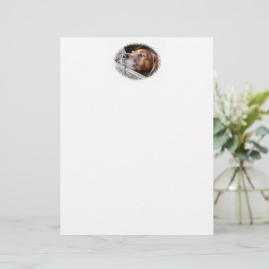 犬文房具 (スタンド正面)